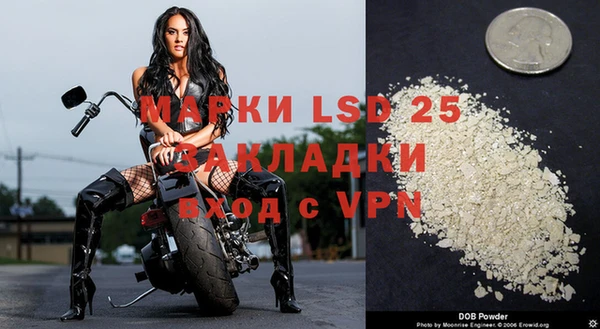 сатива Нефтекумск