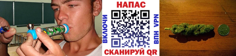 Купить  Златоуст  Шишки марихуана SATIVA & INDICA 